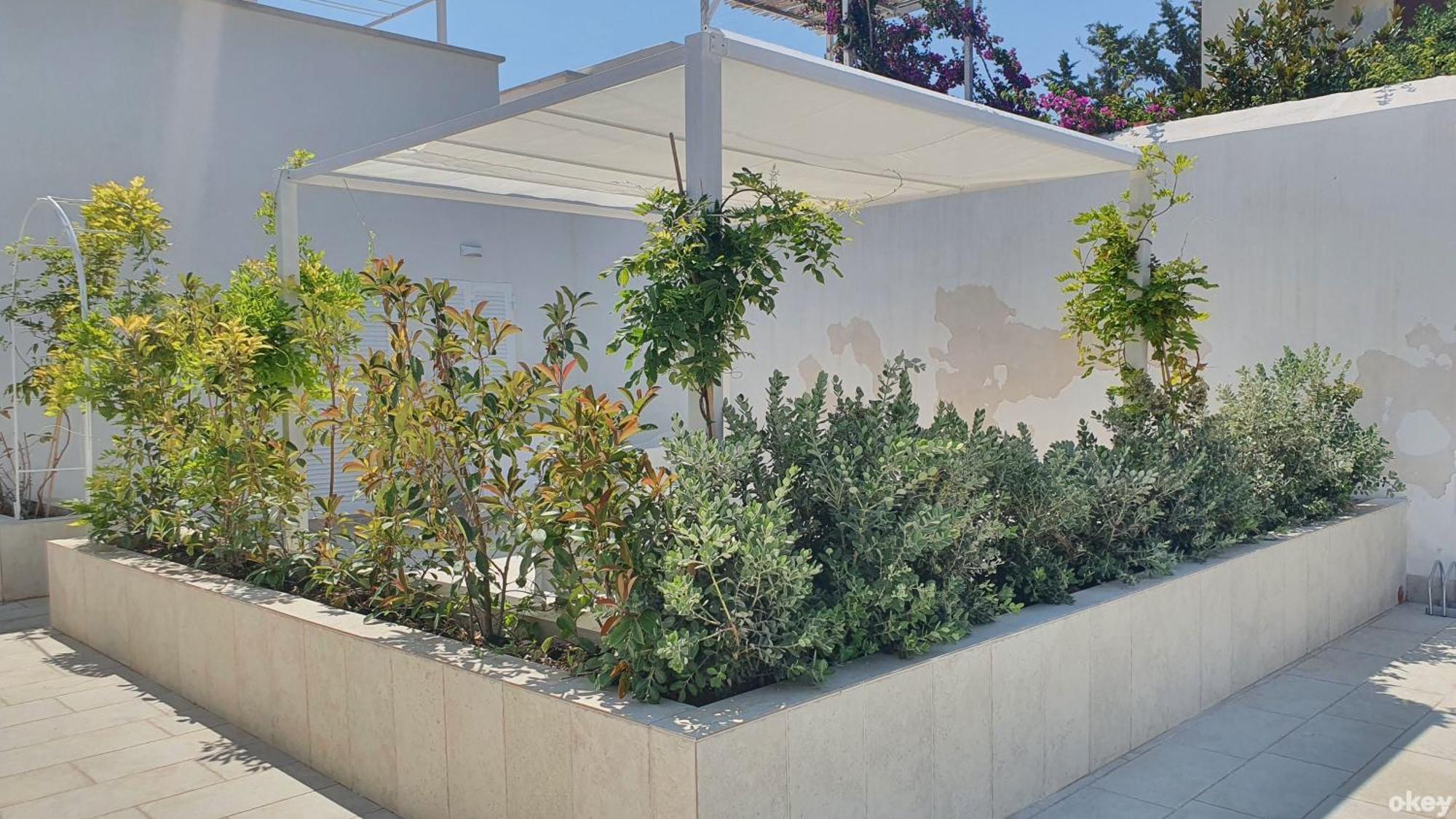 Villa Mediterranea Apartments - Seaview, Pool & Garden Bari Buitenkant foto